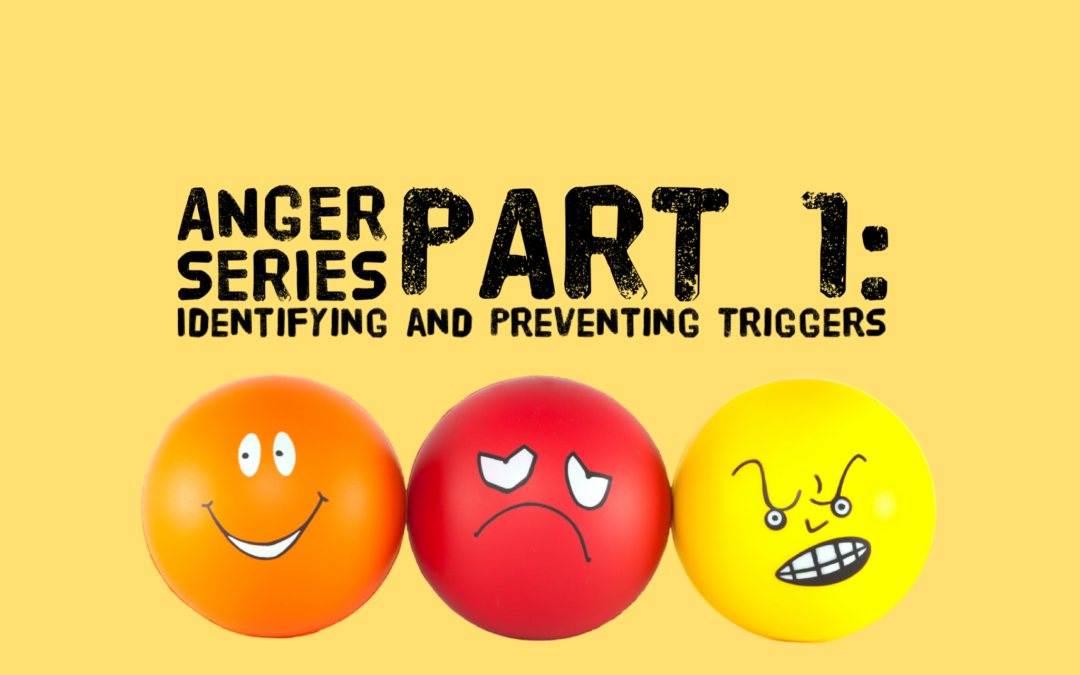 Anger Series Part 1: Identifying and Preventing Children’s Triggers to Anger