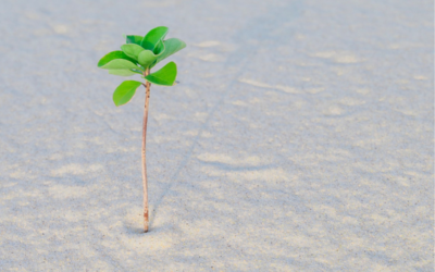 Hidden Trauma: The Impact of Emotional Neglect